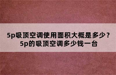 5p吸顶空调使用面积大概是多少？ 5p的吸顶空调多少钱一台